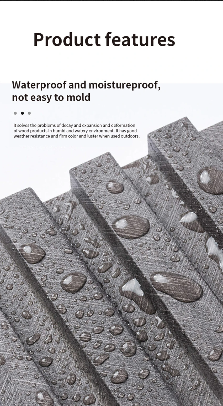_06 _06